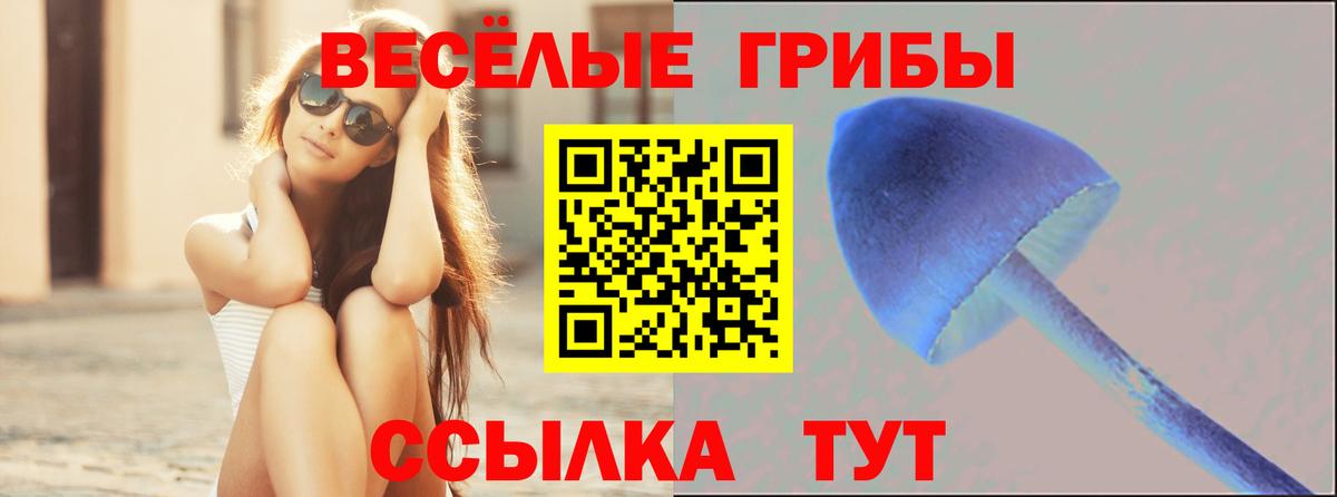 хочу   Галлюциногенные грибы Cubensis  Вход с VPN  Когалым 